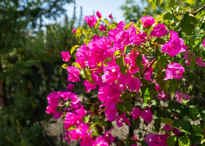 Mandorleto By Interhome